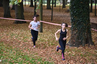 2017 NDSL cross 0023