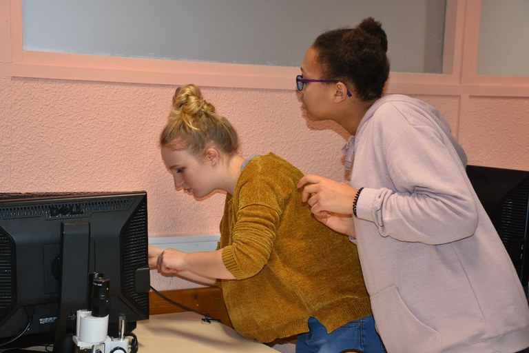 2017 NDSL 2nde  Escape game 0003